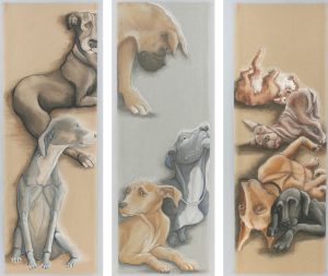 Dog Gestalt-Sad Dogs/Scared Dogs/Sleepy Dogs