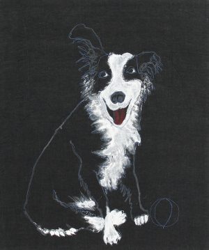 Border Collie