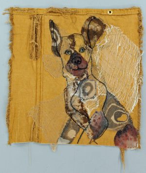 Veterans: African Wild Dog