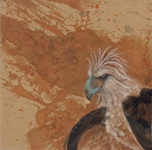 Vanishing Philippine Eagle