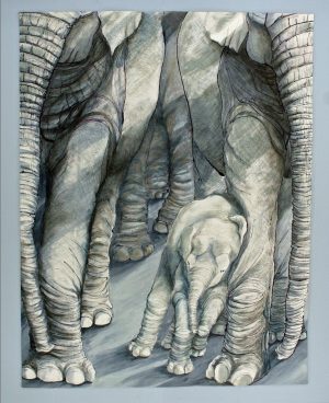 Vanishing Series: The Toto