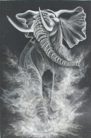 Vanishing Series: Charge!