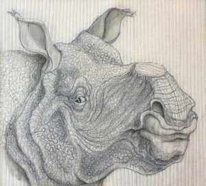 Vanishing Series: White Rhino
