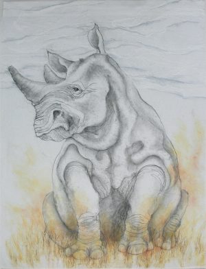 Vanishing Series: White Rhino