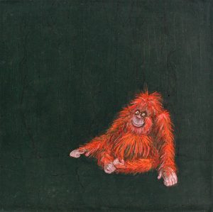 Vanishing Series: Vanishing Forest