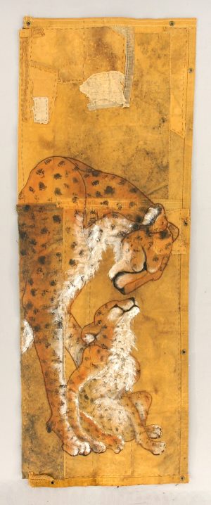 Veteran Series:Cheetahs