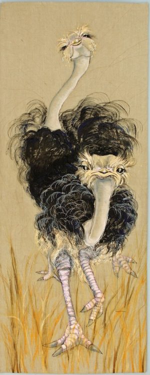 Vanishing: West African Ostriches